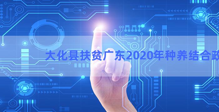 大化县扶贫广东2020年种养结合政策