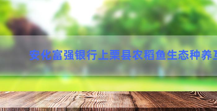 安化富强银行上栗县农稻鱼生态种养互联网